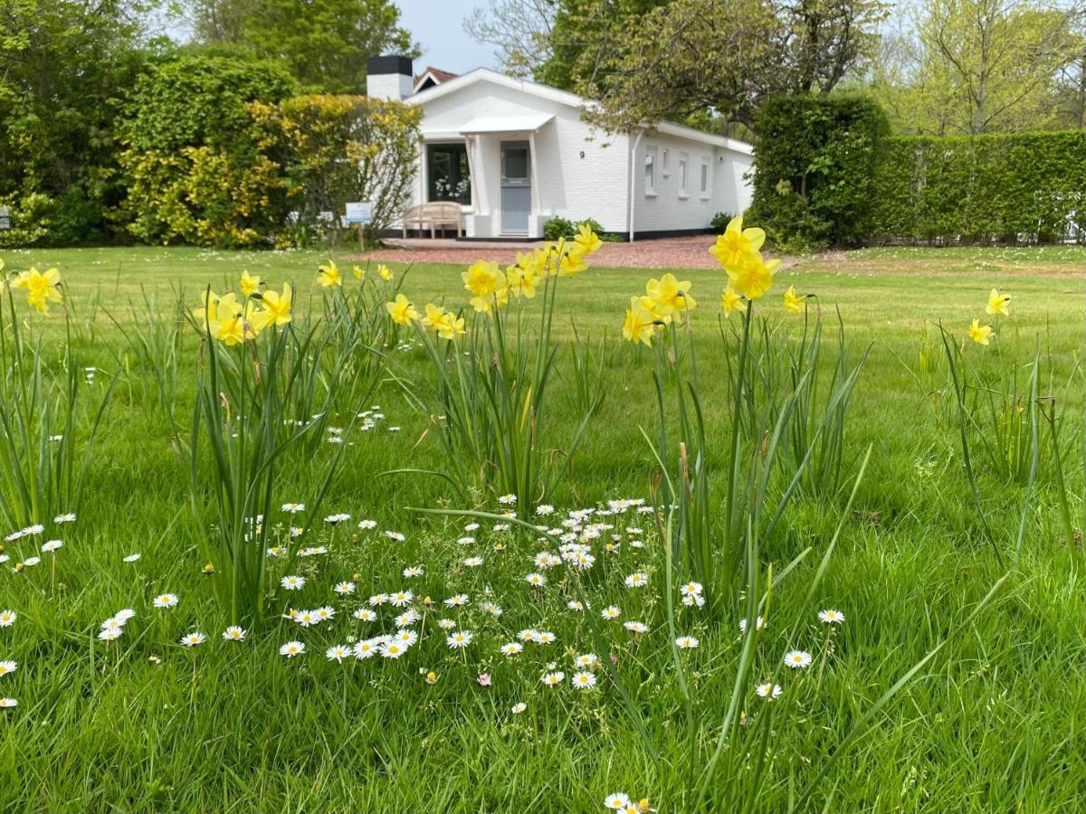 Holiday Park Dennenbos Oostkapelle Eksteriør billede