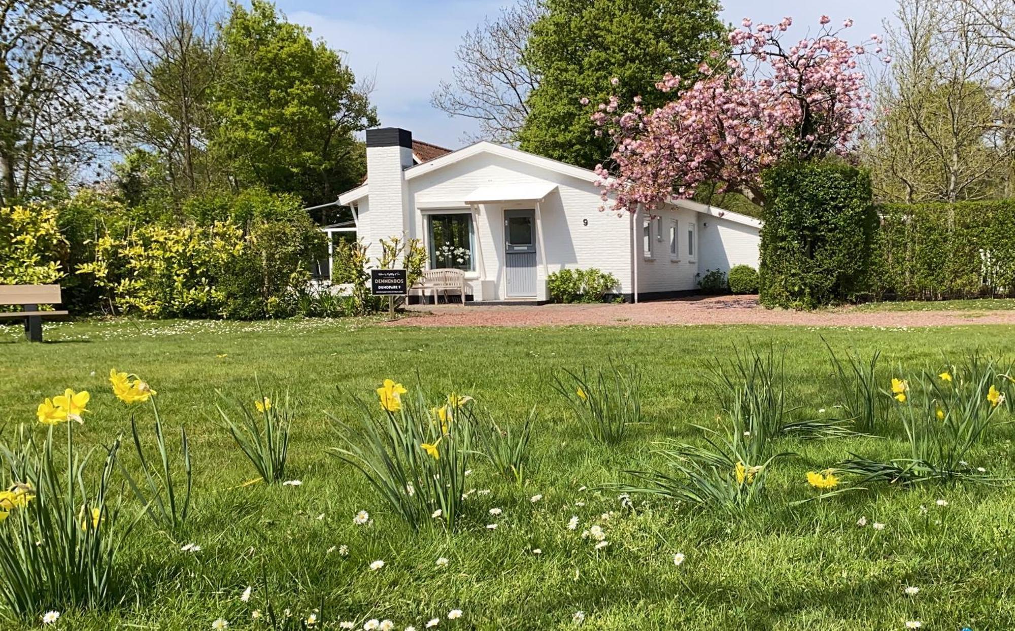 Holiday Park Dennenbos Oostkapelle Eksteriør billede